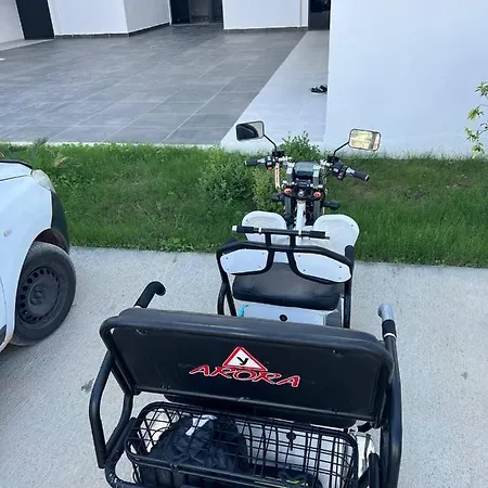 Art Life Lägenhet